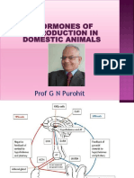 Lecture 2 Hormones of Reproduction in Domestic Animals