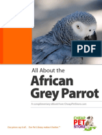 African Grey Parrots PDF