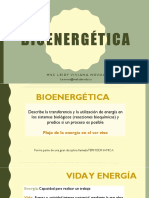 Bioenergetica