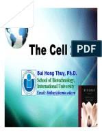 The Cell 2: School of Biotechnology, International University