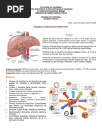 Pruebas Funcionales Hepáticas.