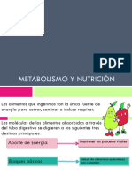 Metabolismo y Nutricion