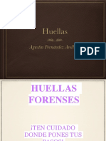 Huellas PDF