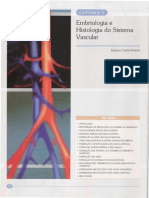 02 - Embriologia e Histologia Do Sistema Vascular