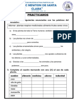 Ficha de Clasificacion de Plantas PDF