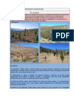 01 - Forestación y Reforestación PDF