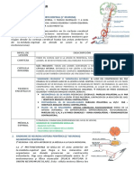 Semiologia Neurologica