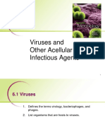 Viruses PDF