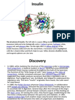 Insulin: The Structure of Insulin. The Left Side Is A Space-Filling Model of The Insulin