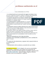 Principales Problemas Ambientales en El Perú