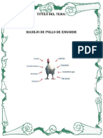 Pollo de Engorde