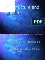 12.1 Cell Structure and Function - PP Presentation