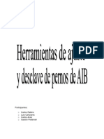 Petrobras Pernos PDF