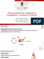 Procesos Químicos de La Digestión de Carnívoros