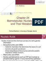 Nucleic Acids & Their Metabolism