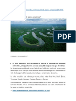 Problemas de La Selva Amazonia