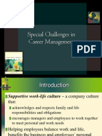 Special Challenges in Career Management: Mcgraw-Hill/Irwin