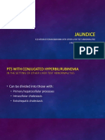 Jaundice: Elevation of Serum Bilirubin With Other Liver Test Abnormalities A Report by Hazel Aspera, RN