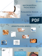 Módulo Electroestética Facial Básica 1