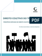 Princípios Do Direito Coletivo Do Trabalho