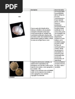 Tipos de Condimentos KEY