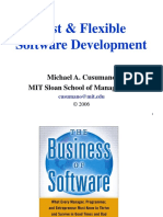 Fast & Flexible Software Development: Michael A. Cusumano MIT Sloan School of Management