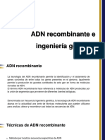 Adn Recombinante