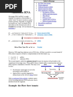 Antisense RNA: Example: The Flavr Savr Tomato