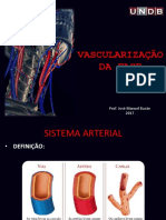 Anatomia Cabeça e Pescoço