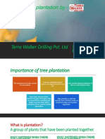 Trees Plantation by - : Terra Walker Drilling Pvt. LTD