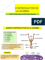 Clase 14 Aparato Reproductor de La Hembra