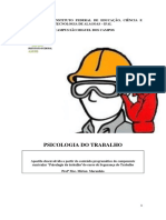 Apostila Psicologia Do Trabalho PDF