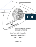 Ensayo de Los Lobulos Del Cerebro y El Aprendizaje