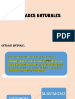 Entidades Naturales