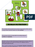 Human Nutrition