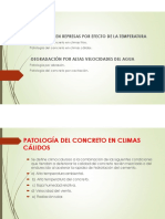 Patología en Represas