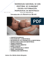 Guia de Aprendizaje Introducción A La Obstetricia 2019 II PDF