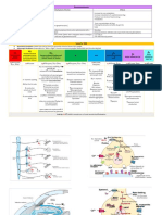 Pharmacokinetics - Introduction To ANS PDF