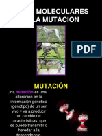 Bases Moleculares de La Mutacion