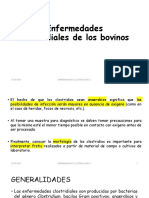 Enfermedades Clostridiales PDF