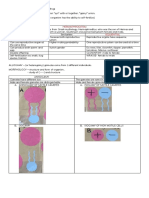 General Biology 2 Notes