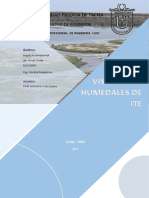 Informe de Humedales de Ite