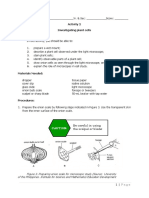Investigating Plant Cells