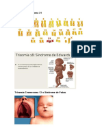 Trabajo Genetica