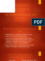 Section 3: The Material/Economic Self