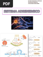 Resumen Clase 5 TM SNA-Cardiovascular I (Adrenergicos-Antihipertensivos)