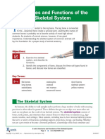 Skeletal System E-Unit Reading - Use As Additional Resource - Same Objectives As PPT PDF