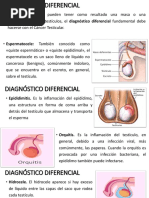 Diagnóstico Diferencial Cancer Testiculo