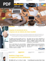 Brochure SAP Business One