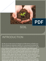 Soil Report